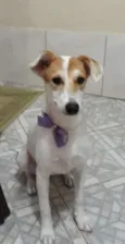 Branquinha