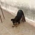 Kilo