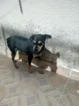 Kilo
