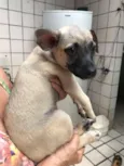 Molly