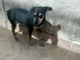Kilo
