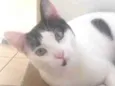 ITI