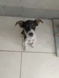 Mel