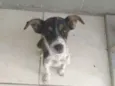 Mel