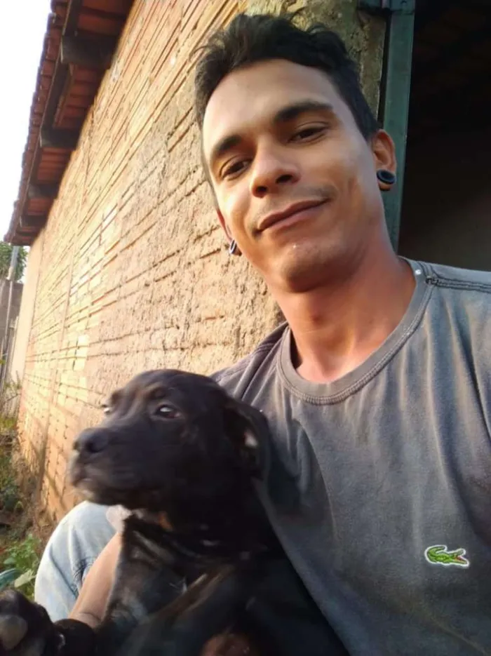 Cachorro ra a Vira lata idade 2 a 6 meses nome Fuscão