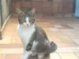 Luna e Mila