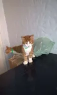 Sebastian, Minsk