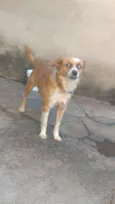 Lili