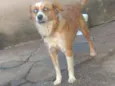 Lili