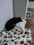 Neguinho