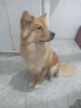 Maggie 