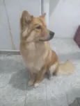 Maggie