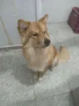Maggie 