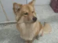 Maggie 