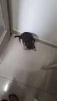Não definido