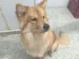 Maggie 