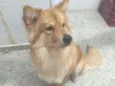 Maggie