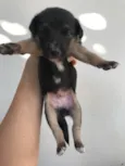 Princesa