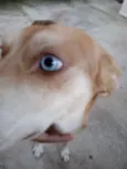 Luke
