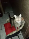 Lili