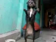 sofhy