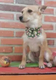Cindy