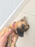 Nina 