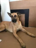Nina 