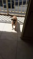 Paçoca