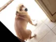 Paçoca
