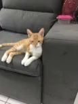 Vida