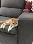 Vida