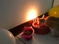 Vida