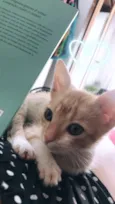 Vida