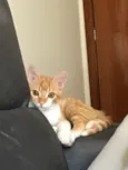 Vida