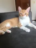 Vida