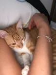 Vida