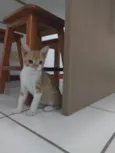 Vida