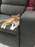 Vida