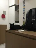 Preta