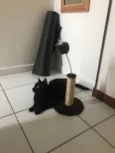 Preta