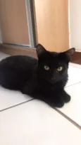 Preta