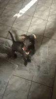 Pelé