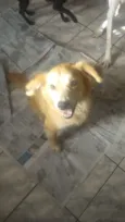 Kevin