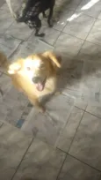 Kevin