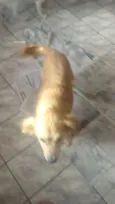 Kevin
