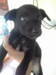 Ainda nao tem