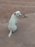 Não tem nome ainda
