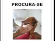 Belinha