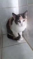 Mia